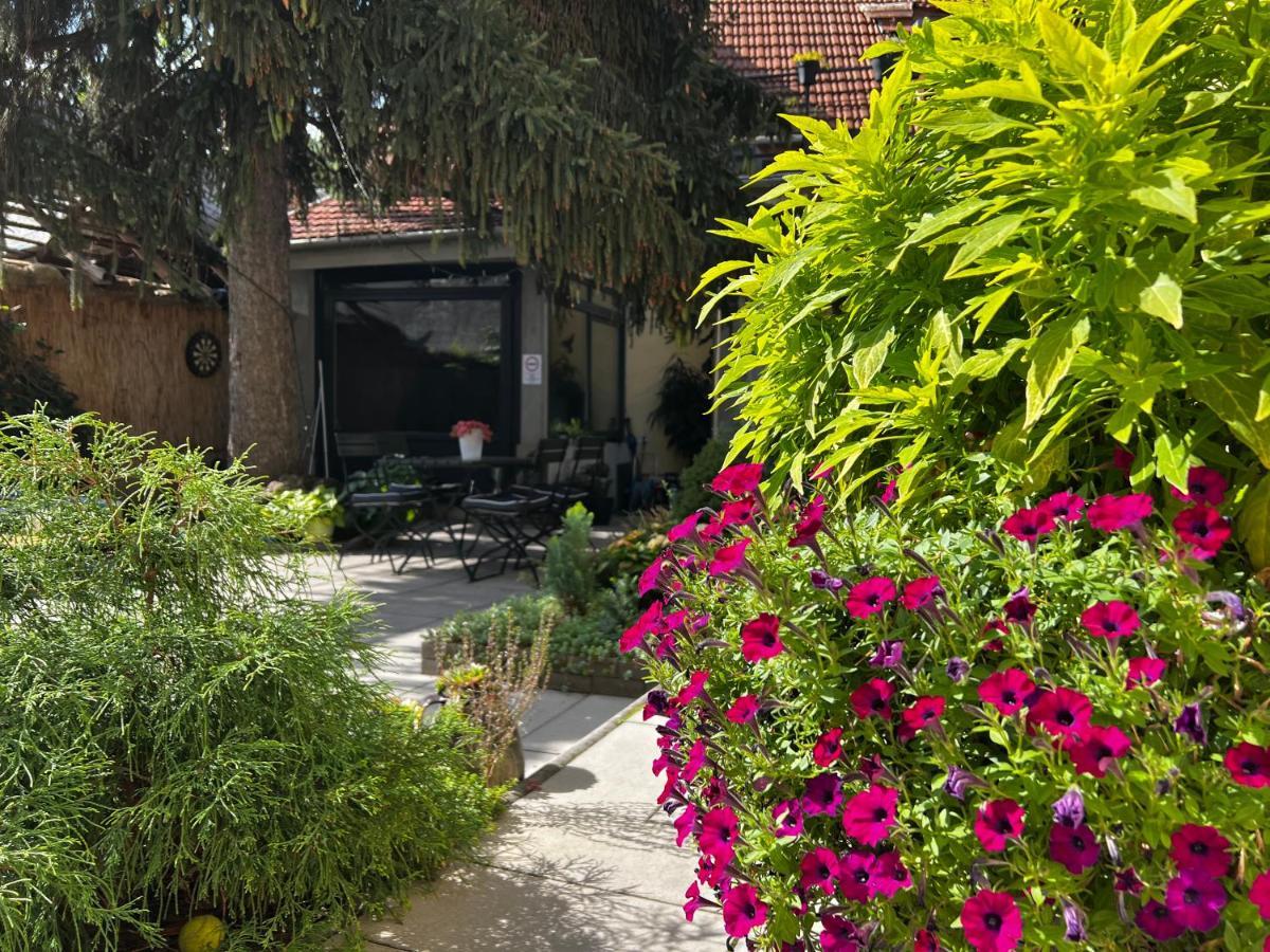 Margaréta Garden&SPA Eger Extérieur photo